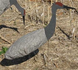 Sandhill Crane Decoy