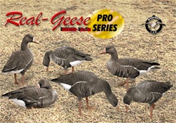 Real Geese Pro Series Real Specklebelly Goose Silhouette Decoy